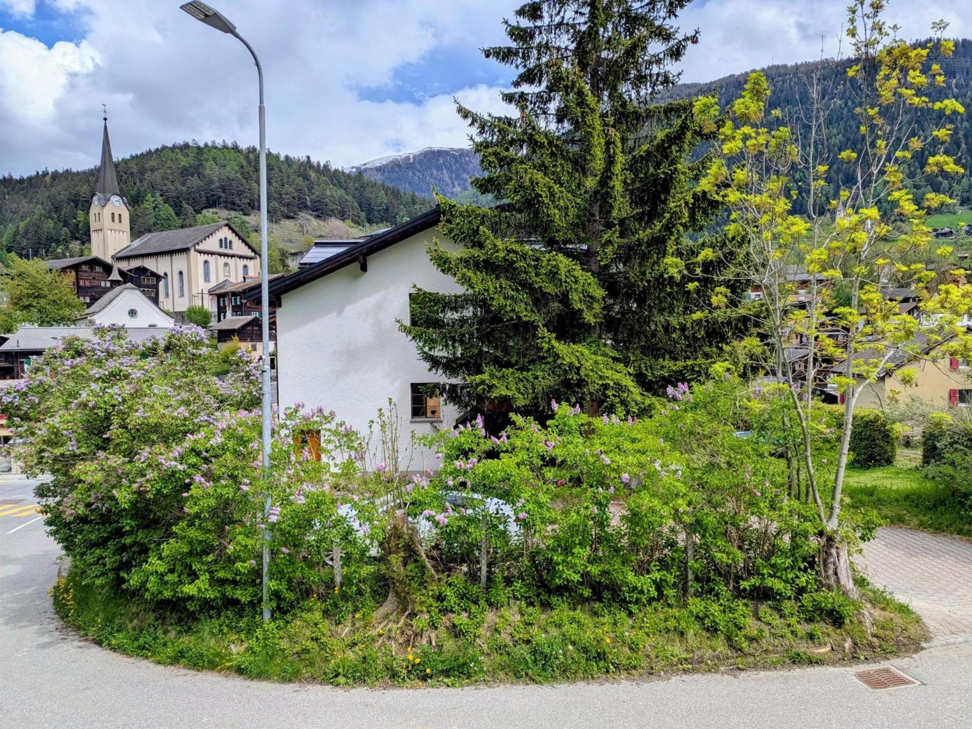 Apartment ABC Ferienwohnung 1 Fiesch Exterior foto